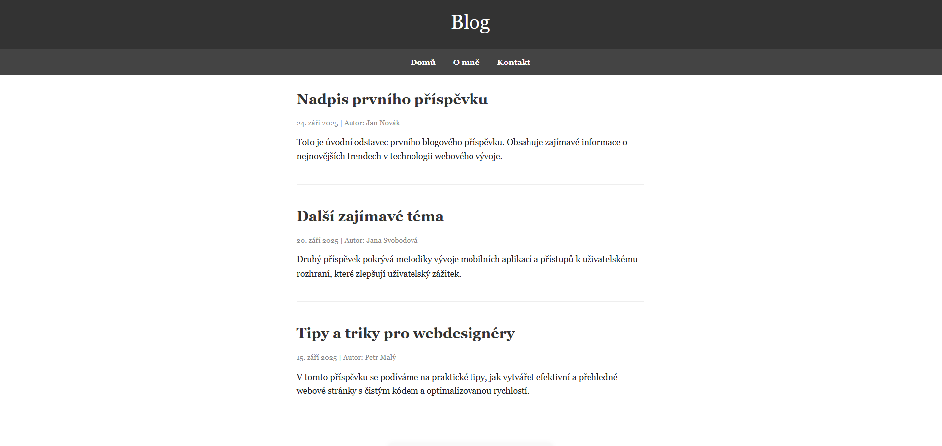 Šablona číslo 4 náhled